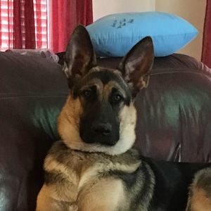 Meet your Posher, Denise